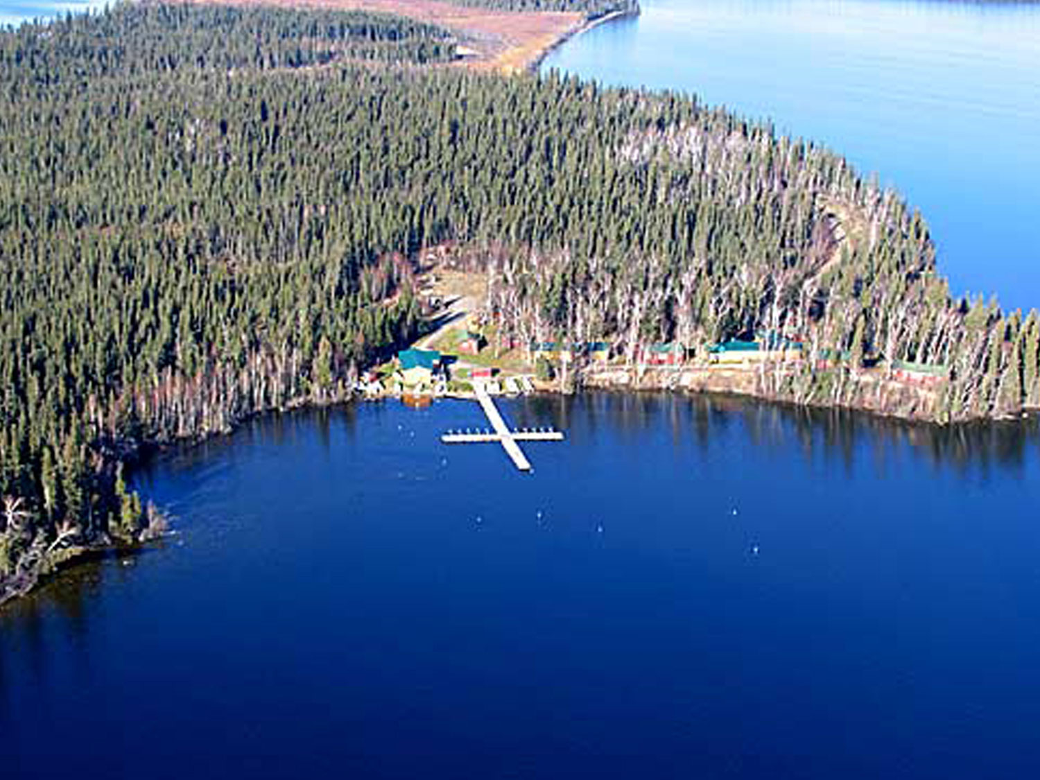 Molson Lake Aerial View